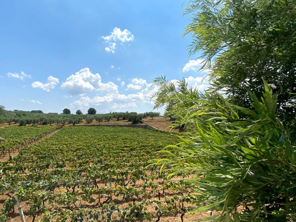 Tenuta Montanaro Holiday home