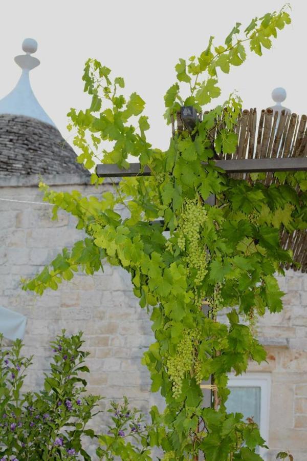 Holiday home Tenuta Montanaro Locorotondo